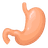 Digestive Health